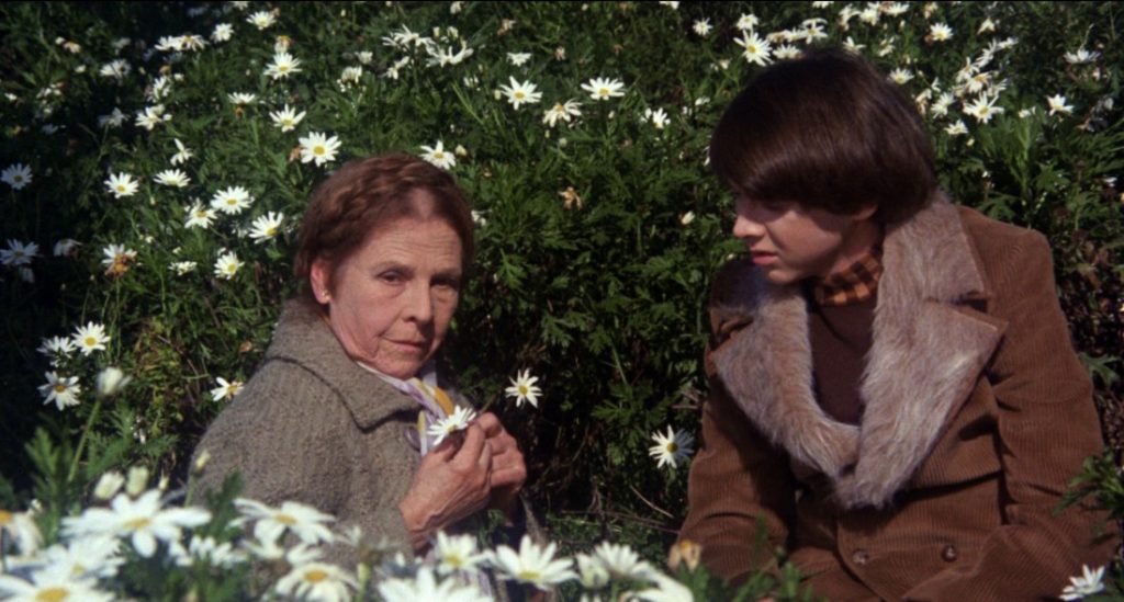 harold and maude