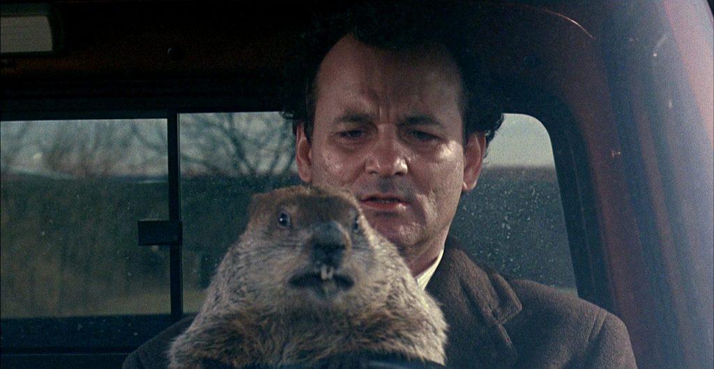 groundhog-day